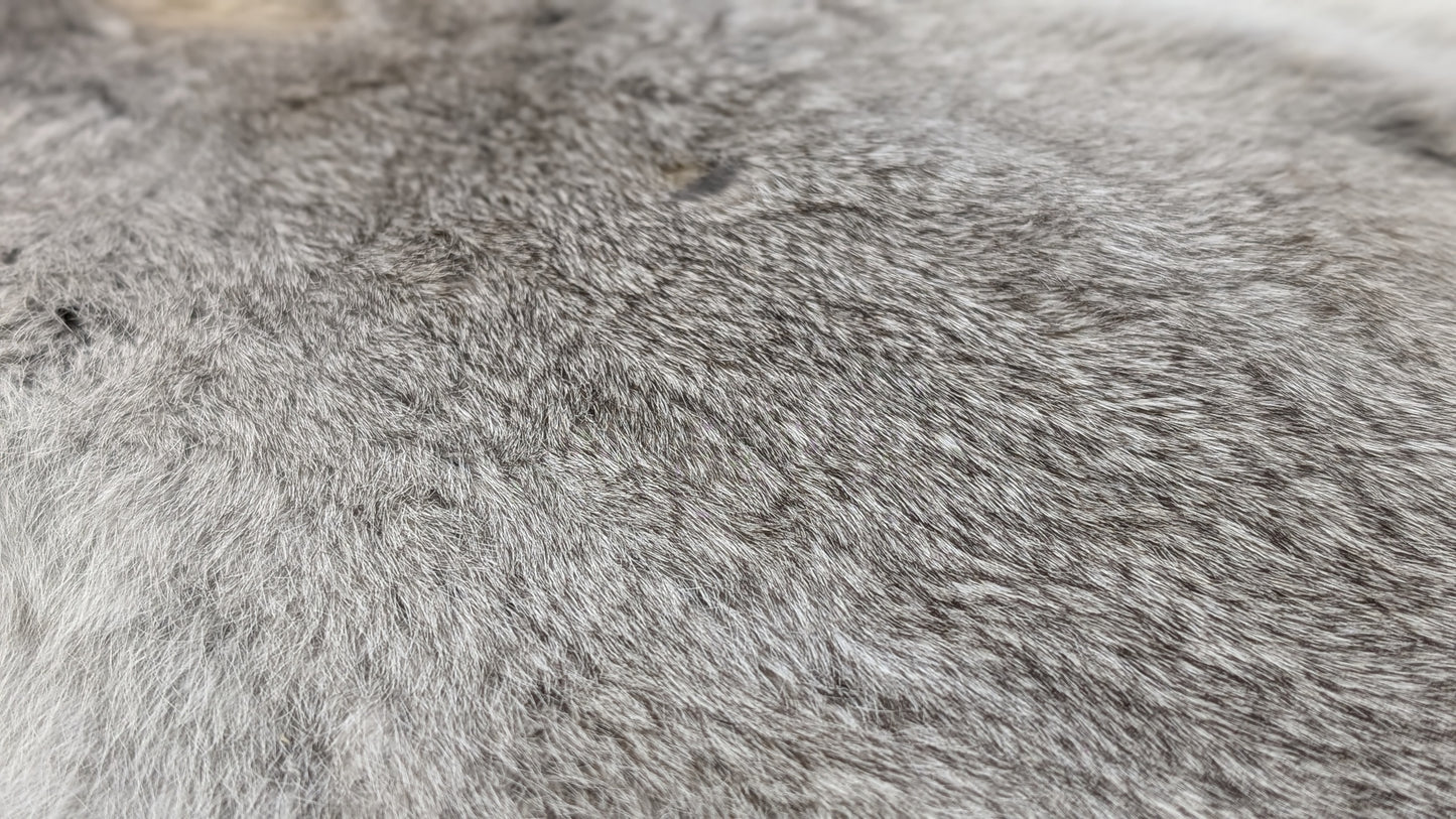 Rabbit Pelt