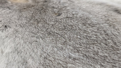 Rabbit Pelt