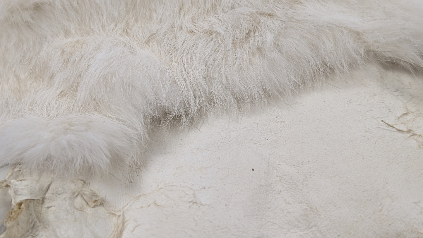 Rabbit Pelt