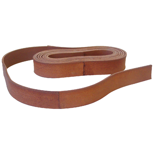 Camera Strapping